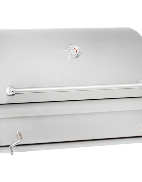 Blaze Built-In Charcoal Grill 32-Inch BLZ4CHAR