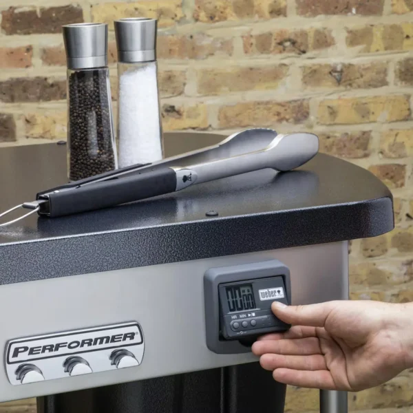 Weber Performer Deluxe 22-Inch Charcoal Grill
