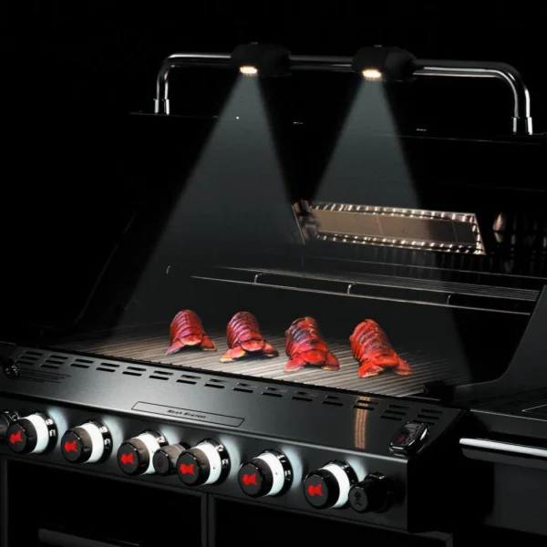 Weber Summit E-670 Gas Grill - Image 4