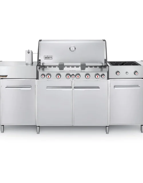 Weber Summit Center Gas Grill